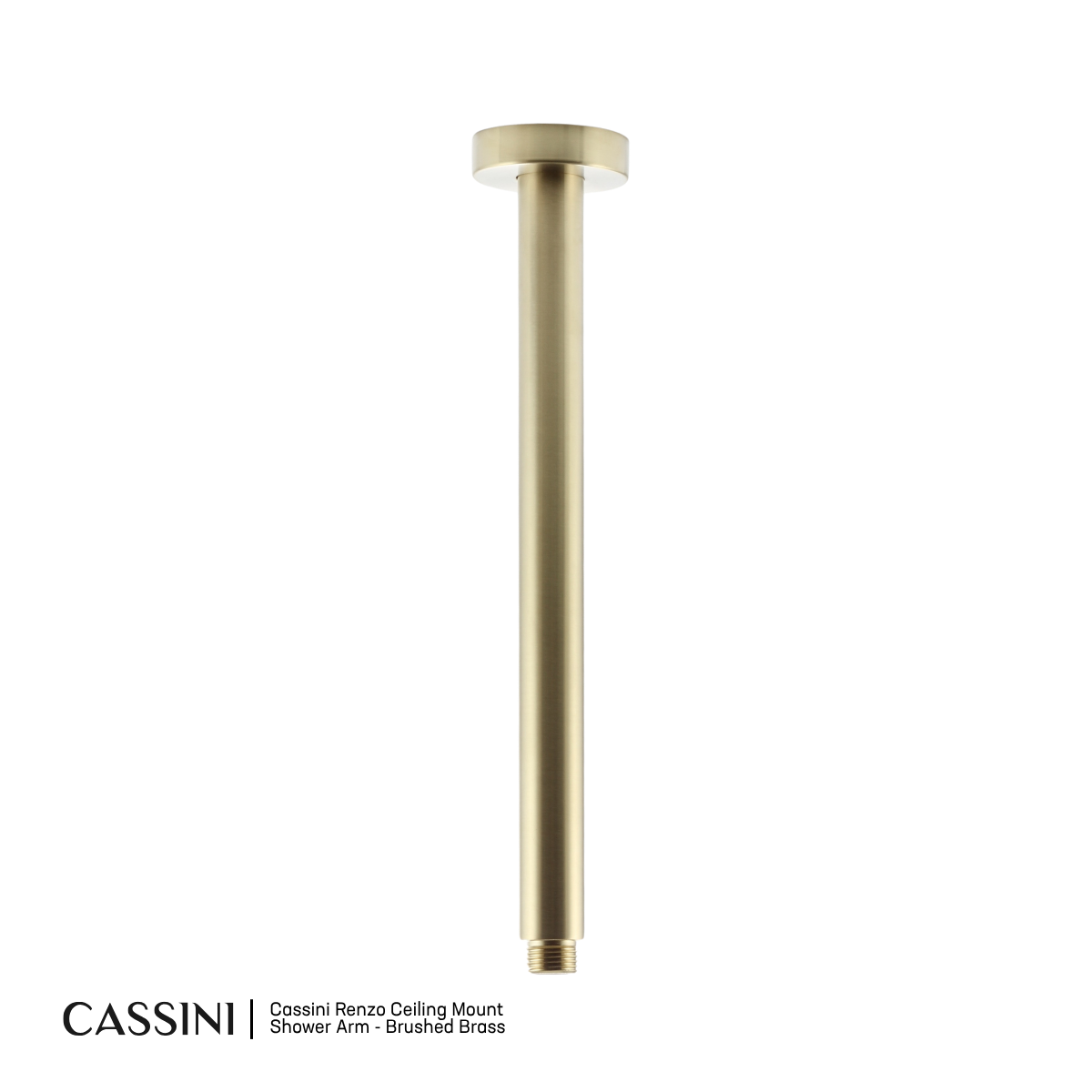 Cassini Renzo Celling Mount Shower Arm