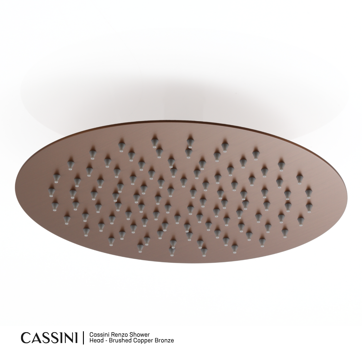 Cassini Renzo Shower Head