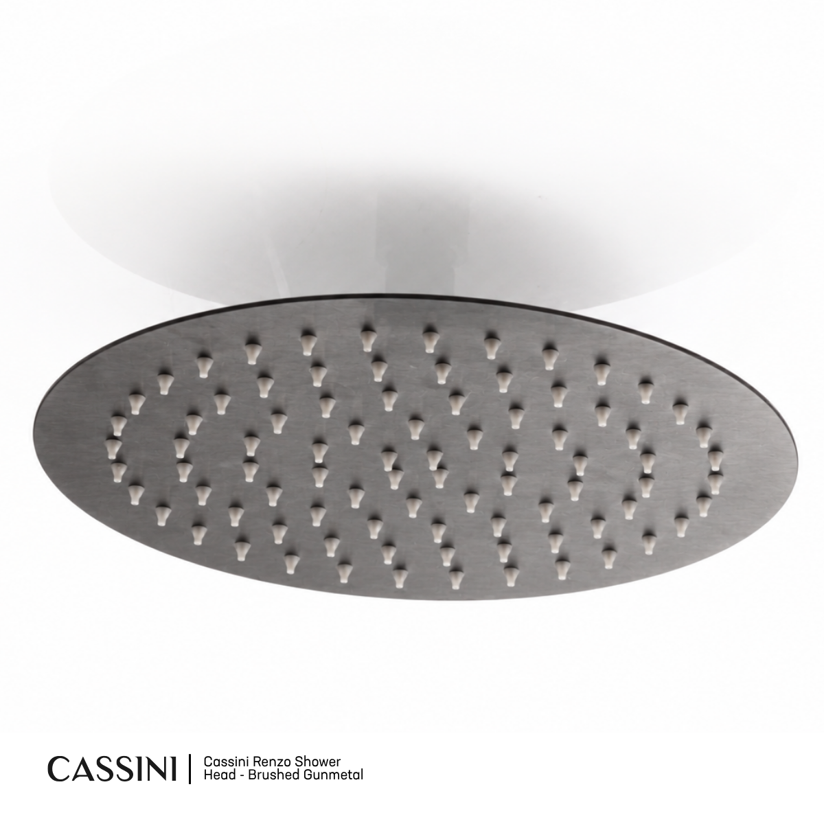 Cassini Renzo Shower Head
