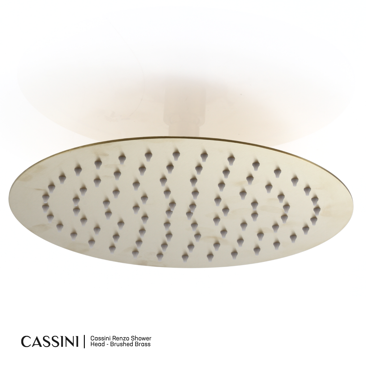 Cassini Renzo Shower Head