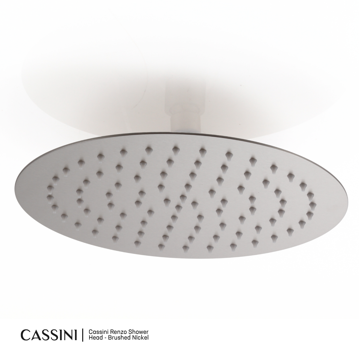 Cassini Renzo Shower Head
