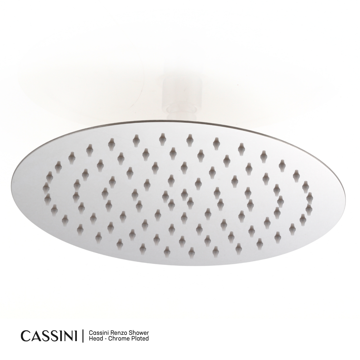 Cassini Renzo Shower Head