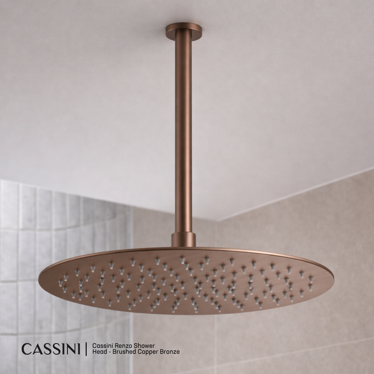 Cassini Renzo Shower Head