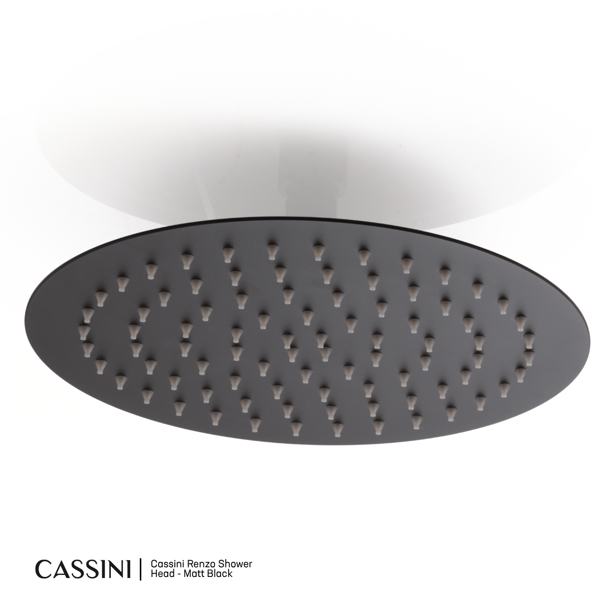 Cassini Renzo Shower Head